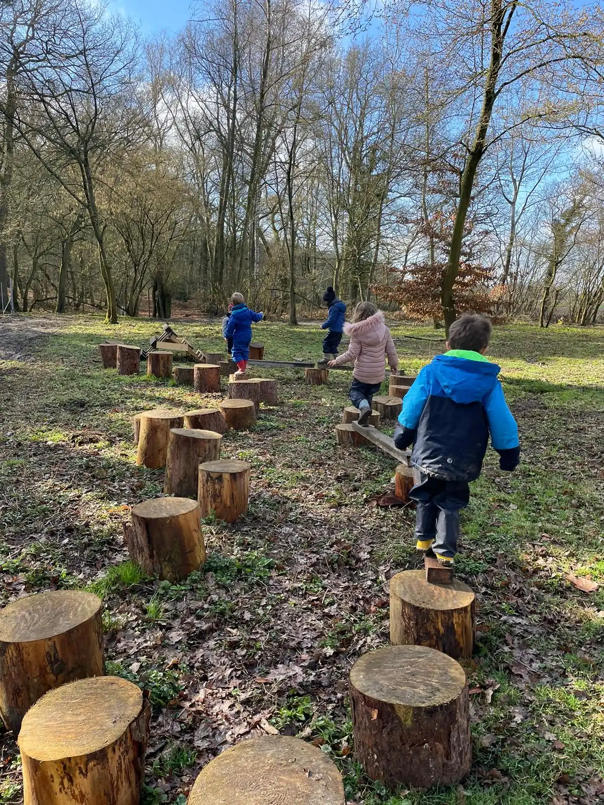 Exploration en forêt
