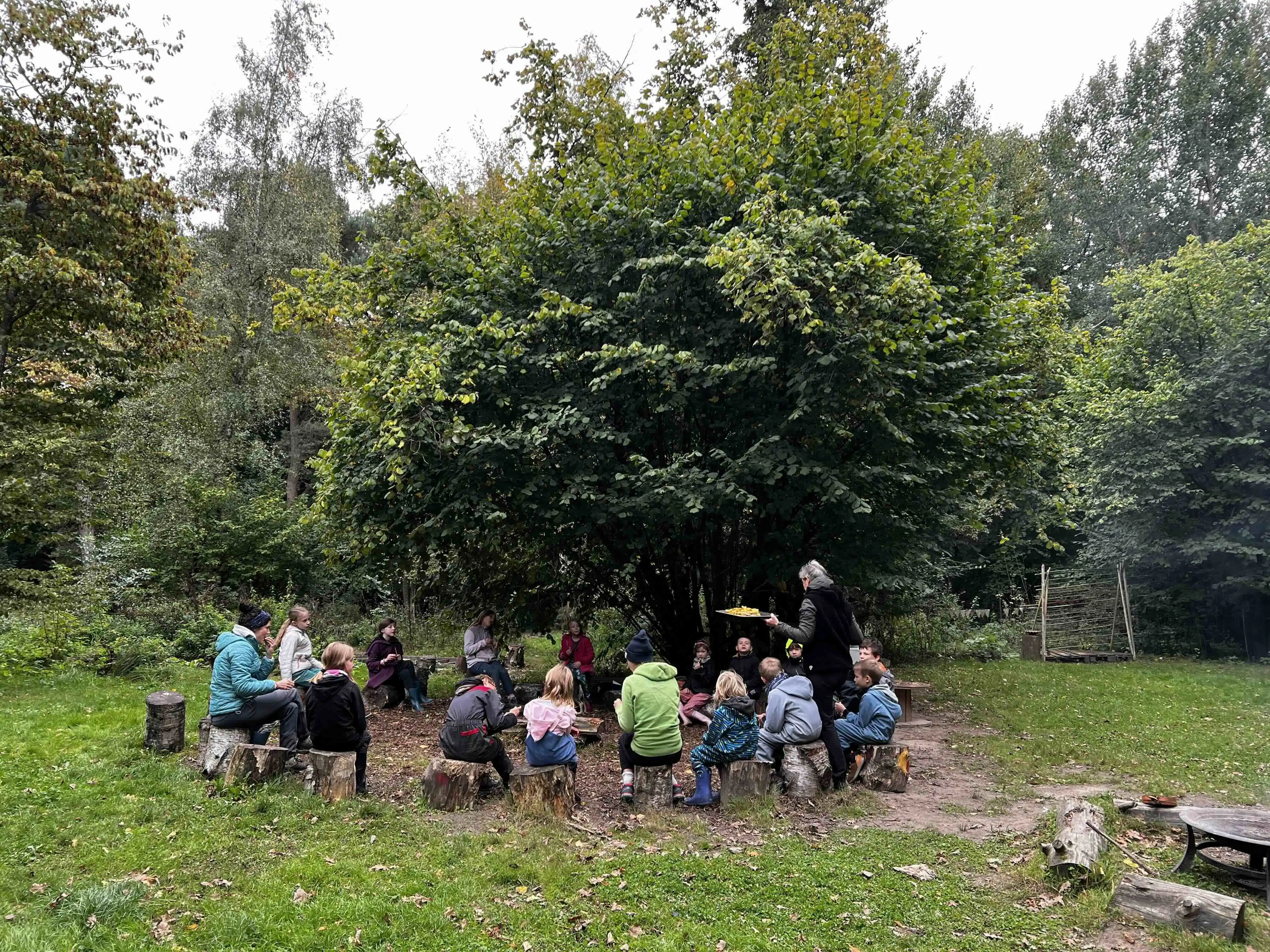 Activités au Repaire