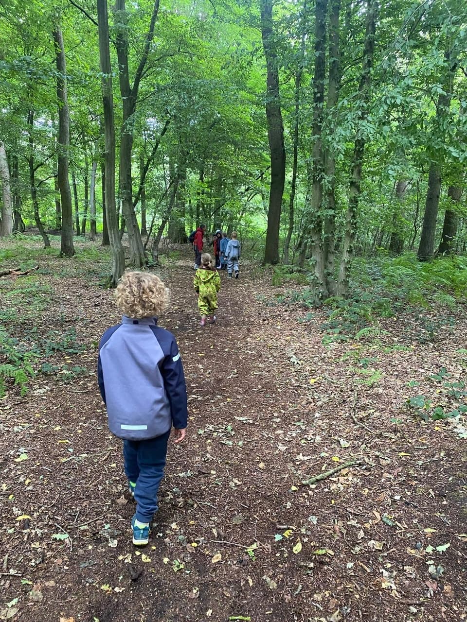 Shin Duo Familles - Image 2