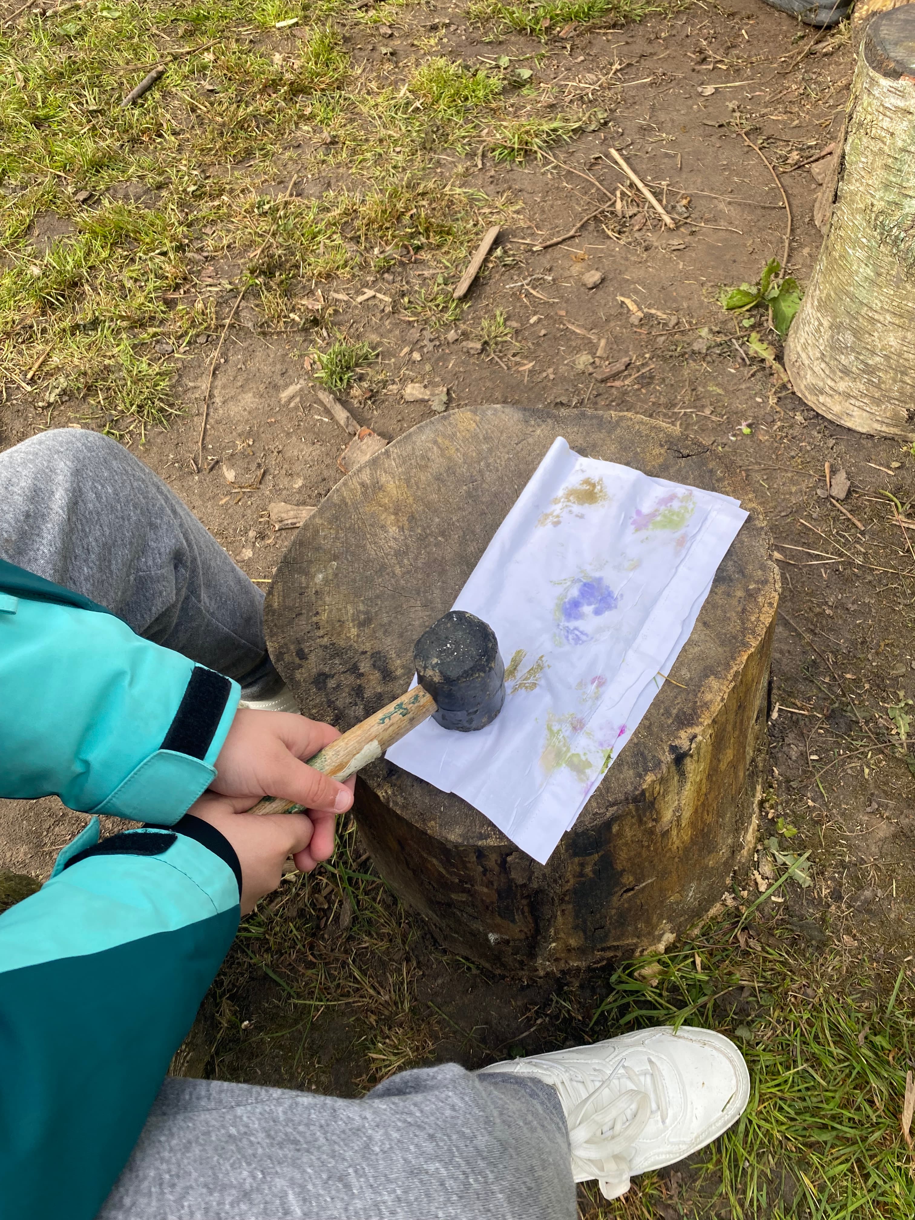 Écoles / IME / Structures - Image 2