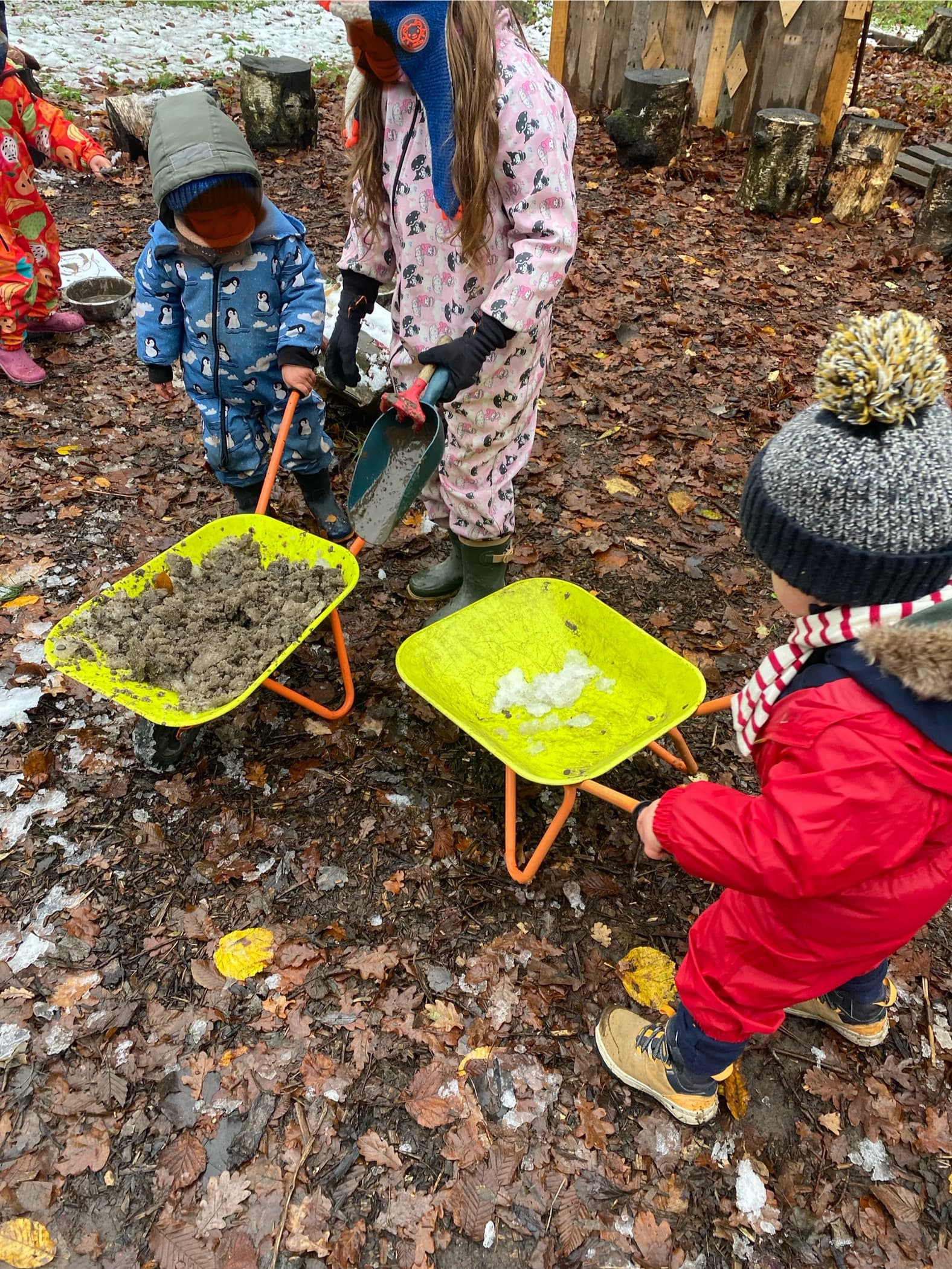 Éveil en forêt - Image 6