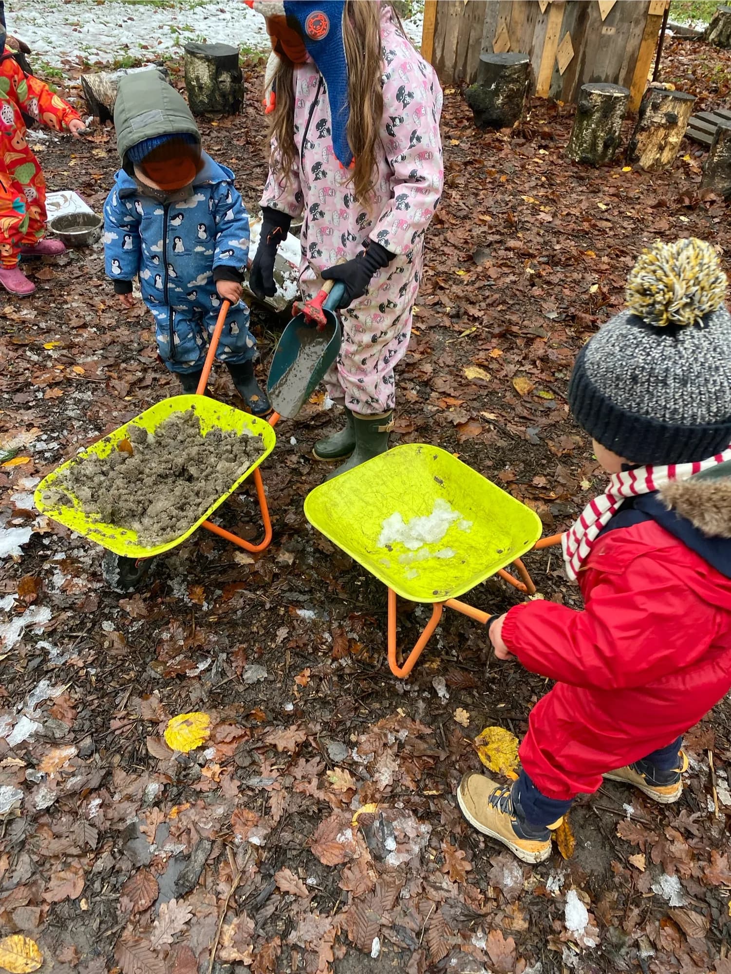 Éveil en forêt - Image 6