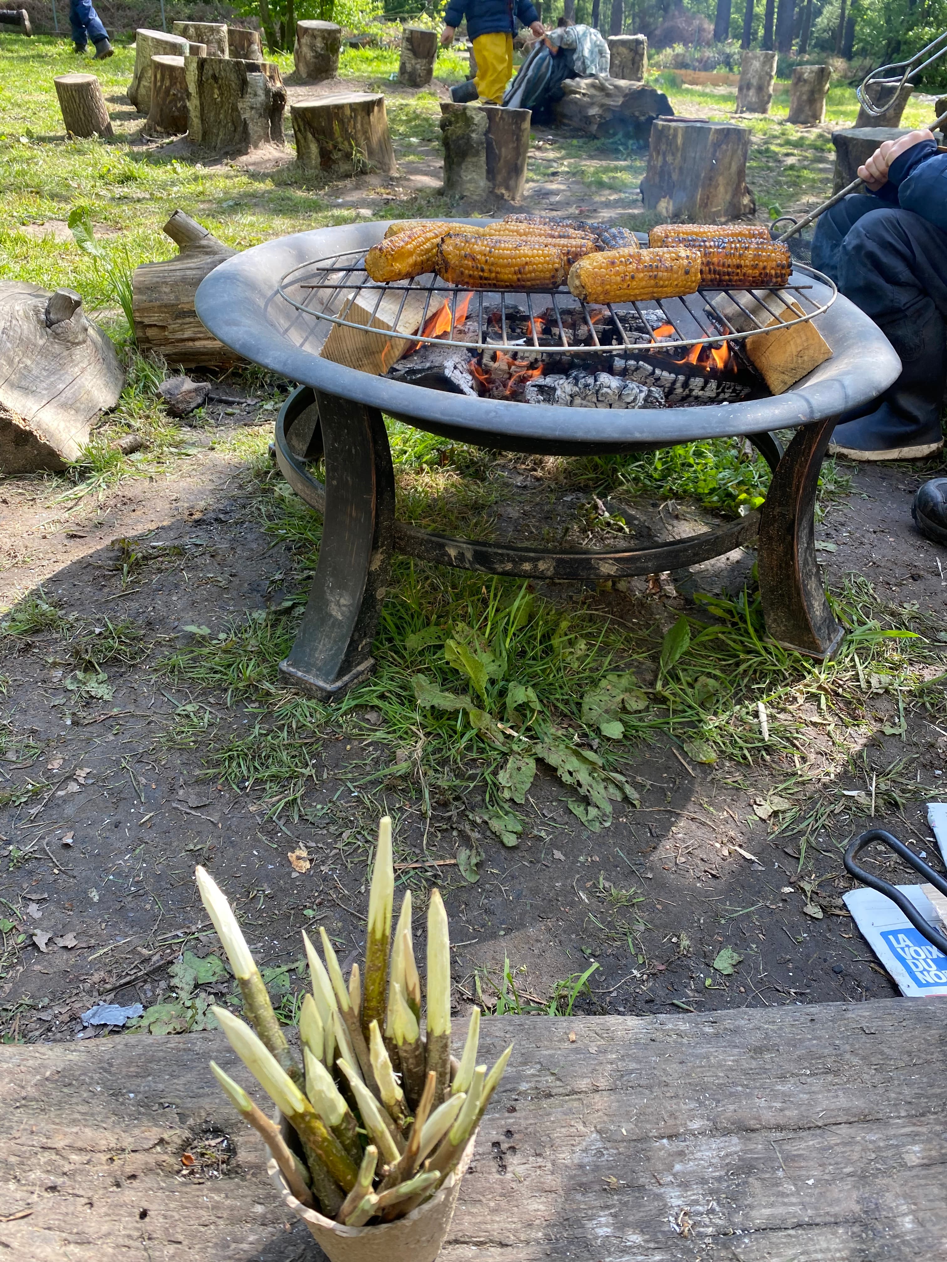 Stages vacances - Image 5