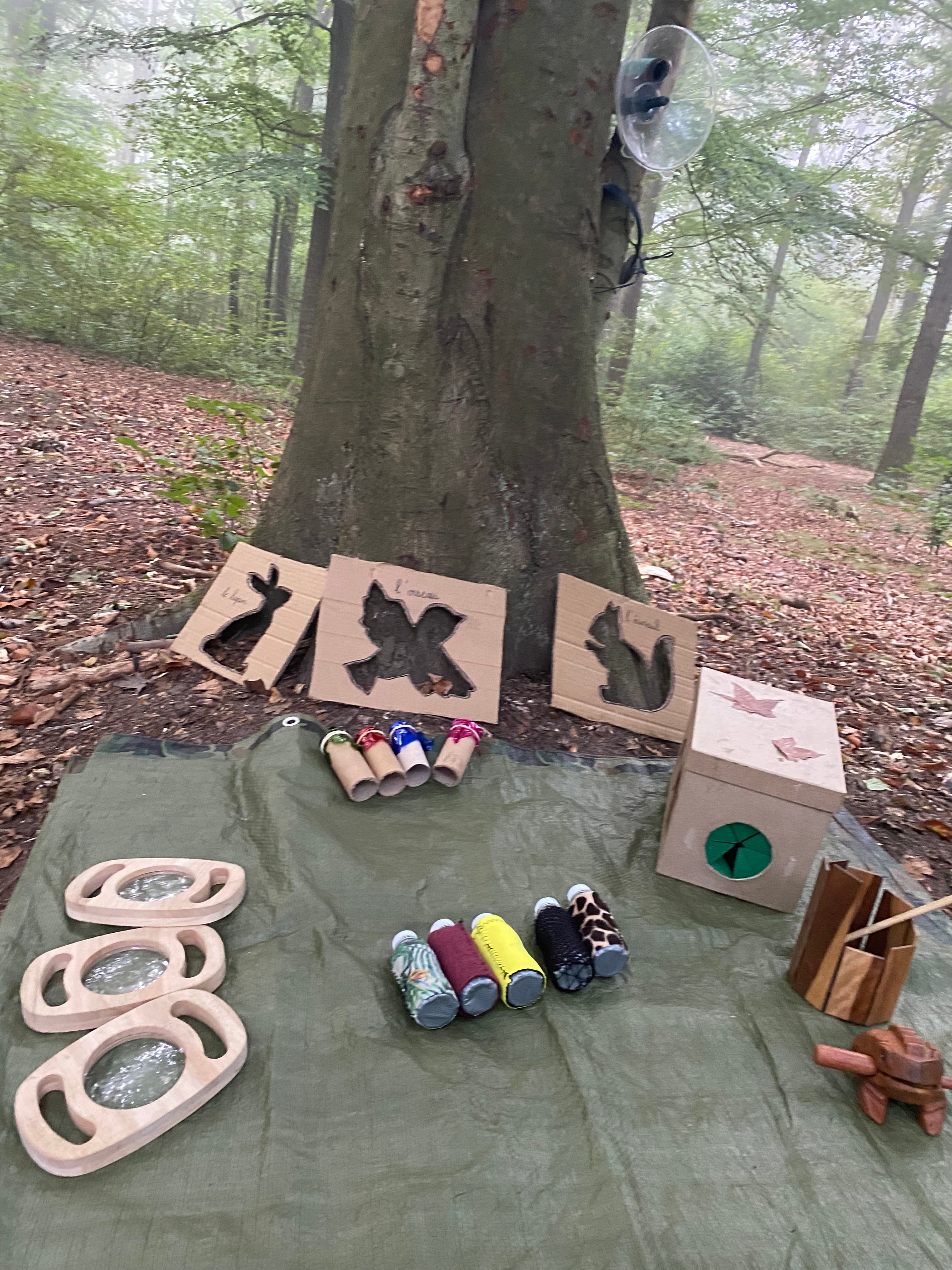 Éveil en forêt - Image 7