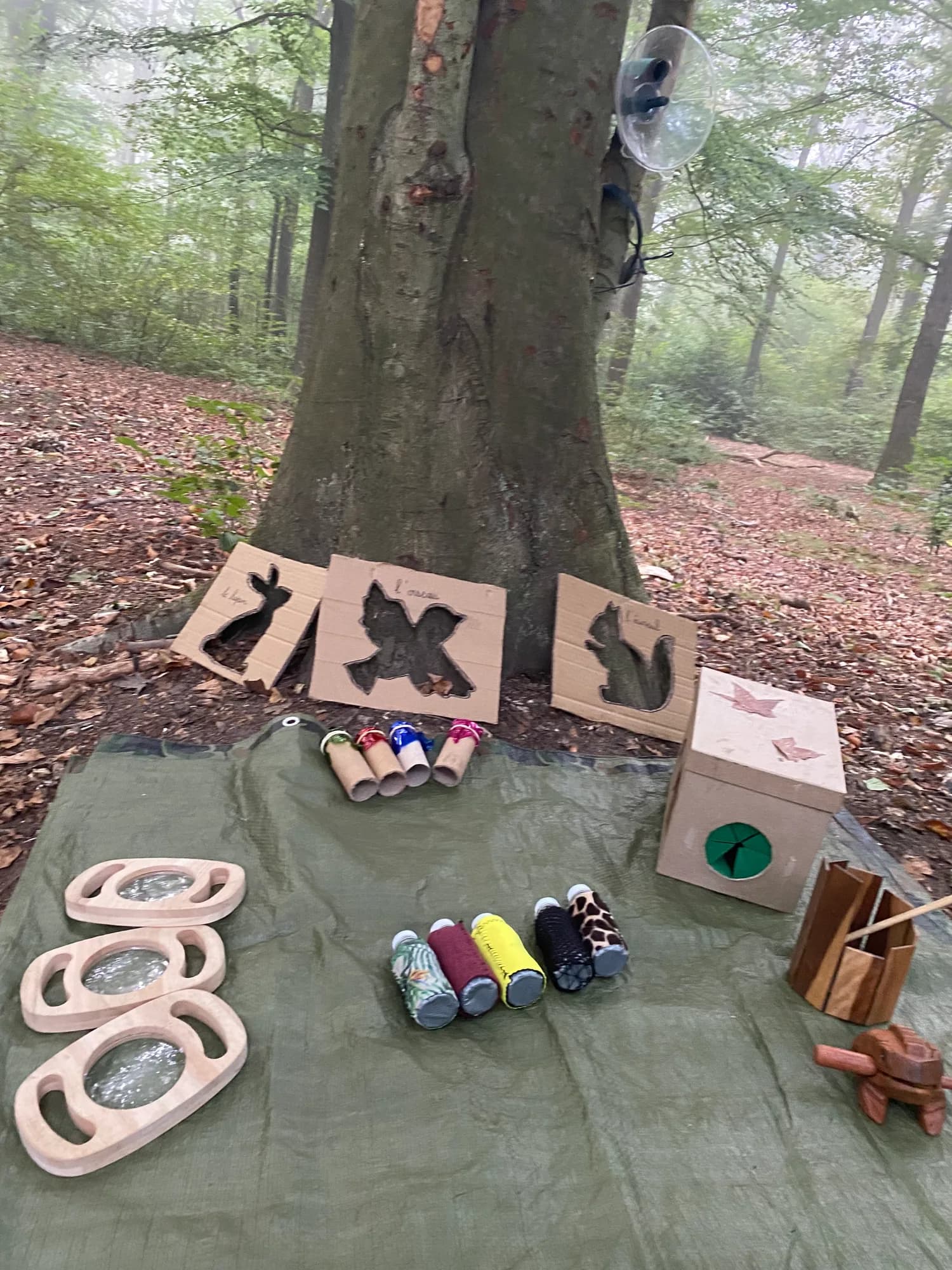 Éveil en forêt - Image 7
