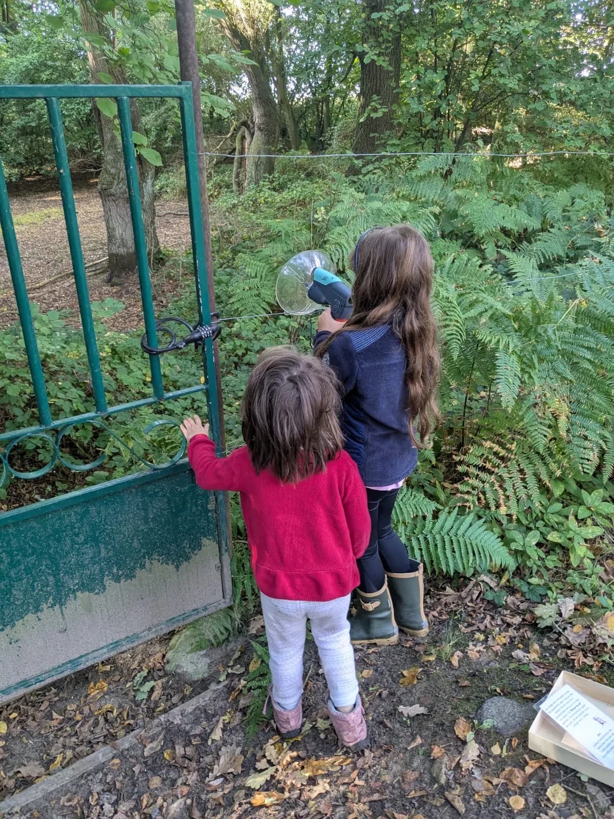 Enfants en Instruction en Famille - Image 2